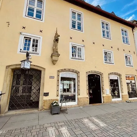 Einhorn: Ruhe Oase Mitten Im Zentrum Διαμέρισμα Γκόσλαρ